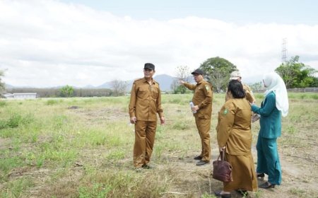 Bupati Jarot Tinjau Lokasi Penanaman 1.000 Pohon Ketapang Kencana, Wujudkan Sumbawa Lebih Hijau