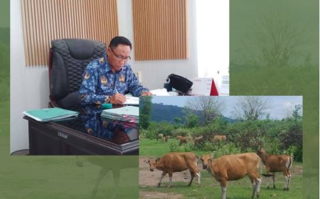 Disnakeswan Sumbawa Genjot Pengadaan Ternak Rp 9,7 Miliar: Perkuat Sektor Peternakan  dan Pengawasan Ketat Kejaksaan