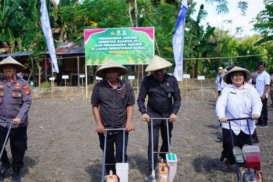 Ketua Komisi II DPRD Sumbawa Dukung Penuh Swasembada Pangan 2025: Penanaman Jagung Serentak Dimulai di Unter Iwes