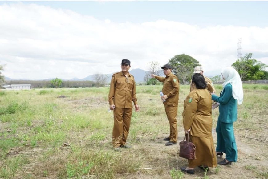 Bupati Jarot Tinjau Lokasi Penanaman 1.000 Pohon Ketapang Kencana, Wujudkan Sumbawa Lebih Hijau