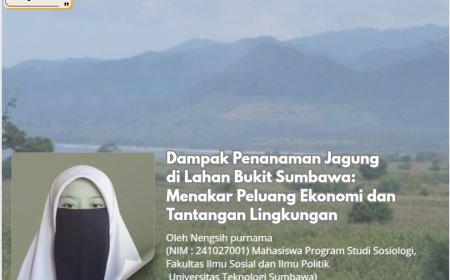 Dampak Penanaman Jagung di Lahan Bukit Sumbawa: Menakar Peluang Ekonomi dan Tantangan Lingkungan