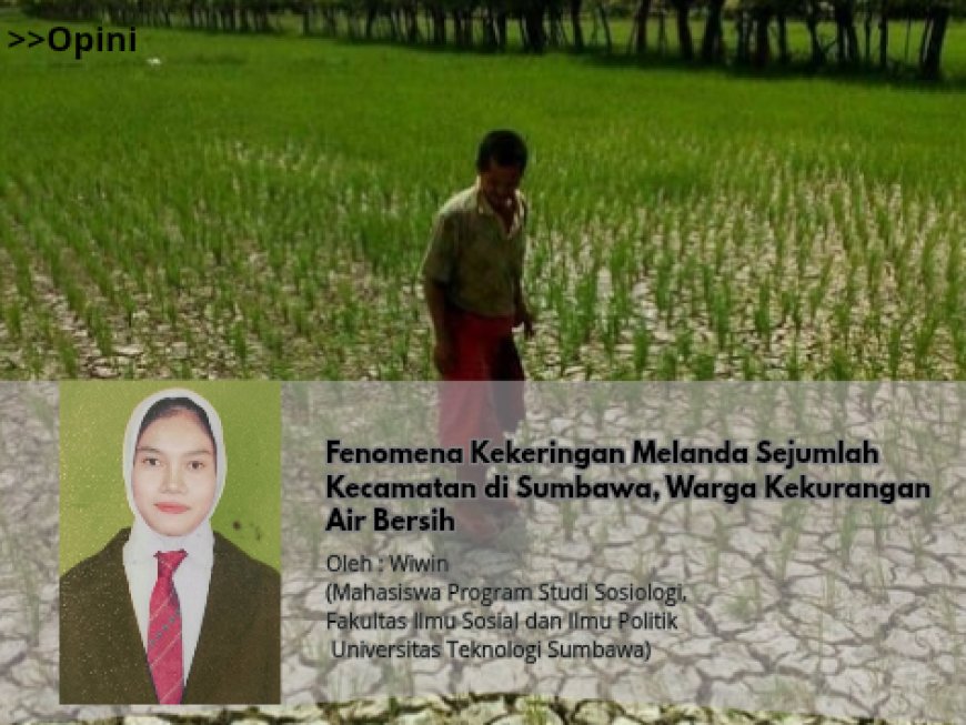 Fenomena Kekeringan Melanda Sejumlah Kecamatan di Sumbawa, Warga Kekurangan Air Bersih