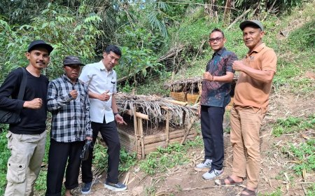 Dewan Zohran Kawal Program Konservasi Berbasis Ekonomi: 10.000 Bibit Kopi Agroforestri Siap Angkat Kesejahteraan Petani