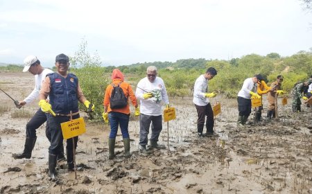 Tangkal Abrasi dan Rob, 2.000 Bibit Mangrove Ditanam di Pesisir Penyaring