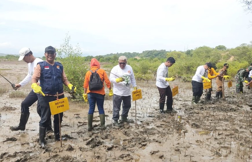 Tangkal Abrasi dan Rob, 2.000 Bibit Mangrove Ditanam di Pesisir Penyaring