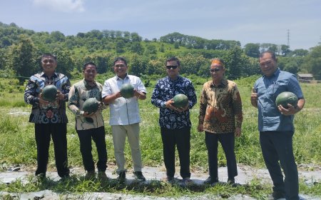 Ponpes Madinah Al Munawaroh Jadi Pionir: DPRD Sumbawa Dorong  Swasembada Buah Dukung Program Makan Bergizi Nasional