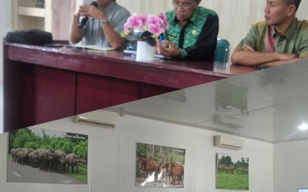 Sapi Sumbawa Bukan Sekadar Komoditas, Prof. Dahlan: Revitalisasi Sistem "Lar" Kunci Jaga Populasi dan Efisiensi