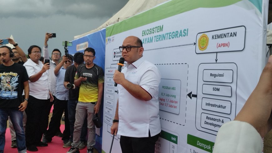 Sumbawa Jadi Sentra Produksi Nasional, PT Berdikari Siapkan Investasi Strategis Lewat Danantara