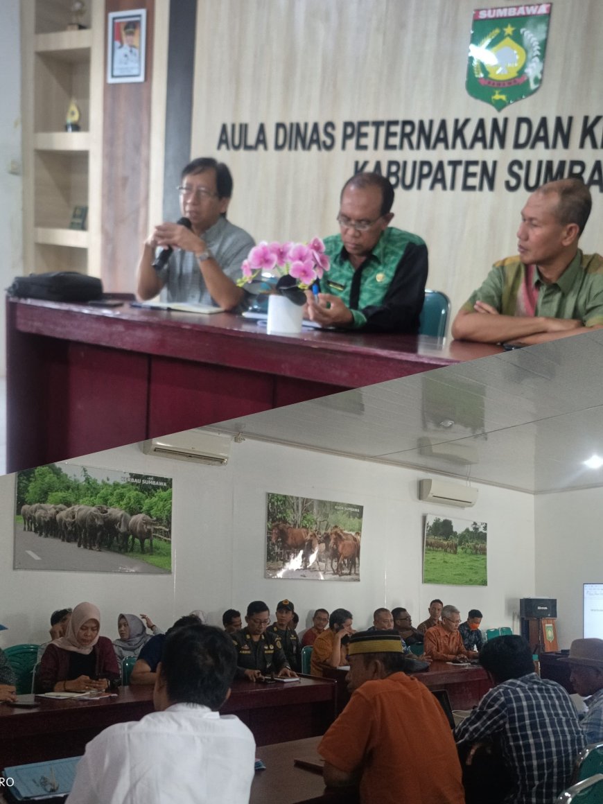 Sapi Sumbawa Bukan Sekadar Komoditas, Prof. Dahlan: Revitalisasi Sistem "Lar" Kunci Jaga Populasi dan Efisiensi