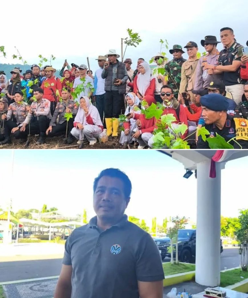 Sumbawa Hijau Lestari: 264.645 Bibit Pohon Tersebar di 24 Kecamatan hingga Maret 2026