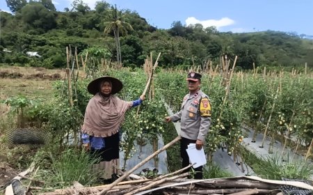 Dukung Asta Cita Presiden, Bhabinkamtibmas Desa Rhee Pantau Pertumbuhan Jagung Hibrida Milik Warga