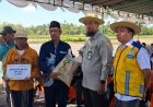 Akselerasi Modernisasi Pertanian, NTB Terapkan Sistem PM-AAS untuk Genjot Produktivitas Padi