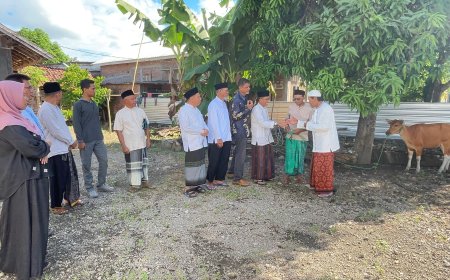 Kepala Desa Olat Rawa Tunaikan Zakat Maal Berupa Seekor Sapi Melalui Baznas  Sumbawa