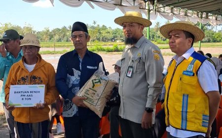 Akselerasi Modernisasi Pertanian, NTB Terapkan Sistem PM-AAS untuk Genjot Produktivitas Padi