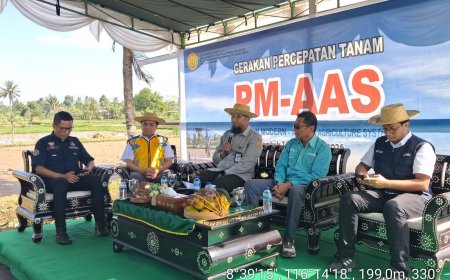 Akselerasi Modernisasi Pertanian, NTB Terapkan Sistem PM-AAS untuk Genjot Produktivitas Padi