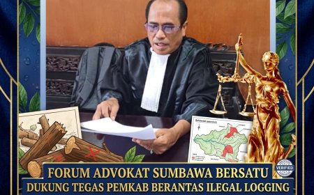Forum Advokat Sumbawa Bersatu Dukung Tegas Pemkab Berantas Ilegal Logging di Batulanteh: Jangan Wariskan Bencana!