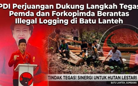 PDI Perjuangan Dukung Langkah Tegas Pemda dan Forkopimda Berantas Illegal Logging di Batu Lanteh