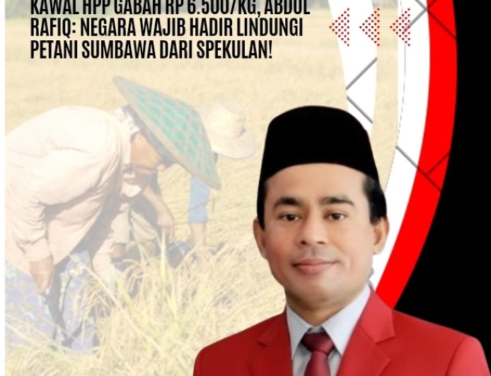 Kawal HPP Gabah Rp 6.500/Kg, Abdul Rafiq: Negara Wajib Hadir Lindungi Petani Sumbawa dari Spekulan!