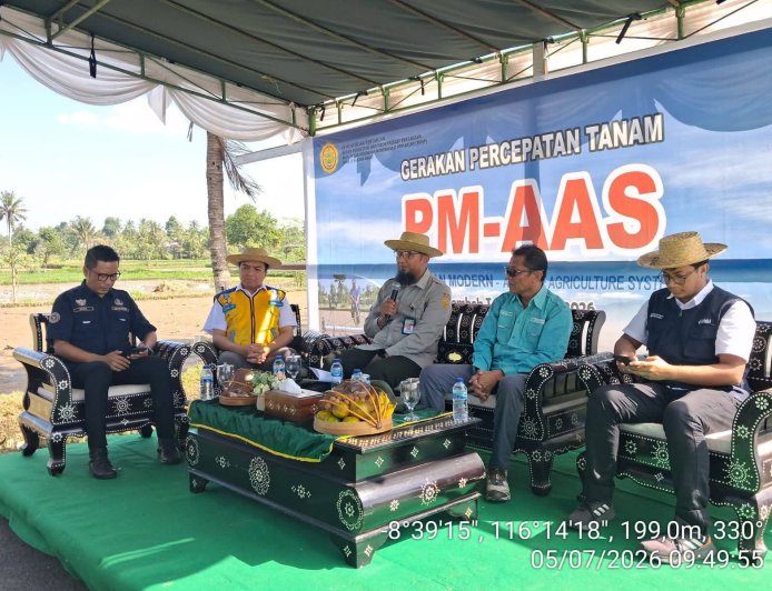Akselerasi Modernisasi Pertanian, NTB Terapkan Sistem PM-AAS untuk Genjot Produktivitas Padi