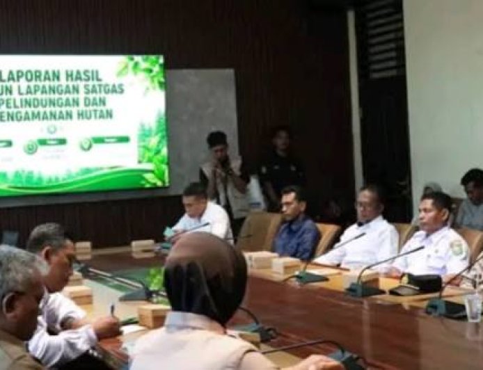 Pemkab Sumbawa Tegaskan Penertiban Kayu di Batulanteh Sesuai Prosedur Hukum dan Libatkan Forkopimda