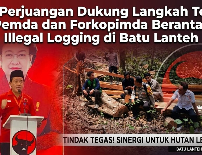 PDI Perjuangan Dukung Langkah Tegas Pemda dan Forkopimda Berantas Illegal Logging di Batu Lanteh