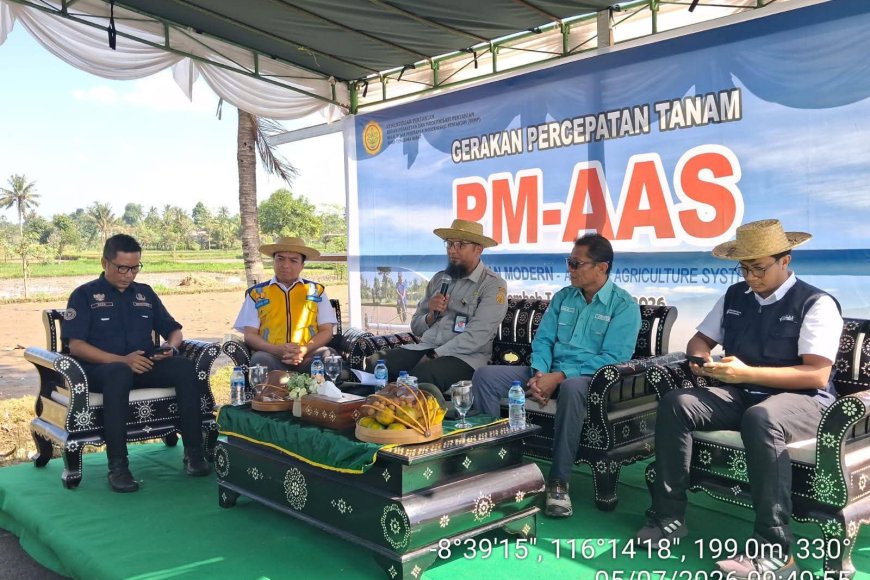 Akselerasi Modernisasi Pertanian, NTB Terapkan Sistem PM-AAS untuk Genjot Produktivitas Padi