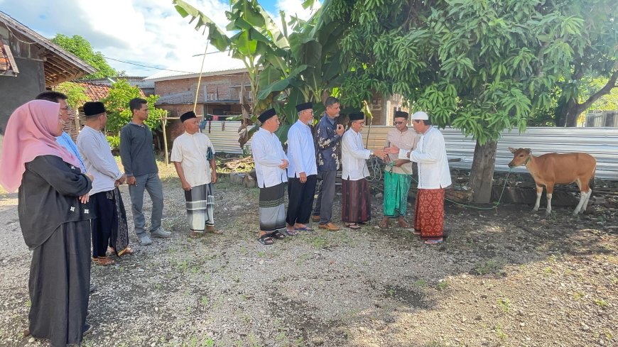 Kepala Desa Olat Rawa Tunaikan Zakat Maal Berupa Seekor Sapi Melalui Baznas  Sumbawa