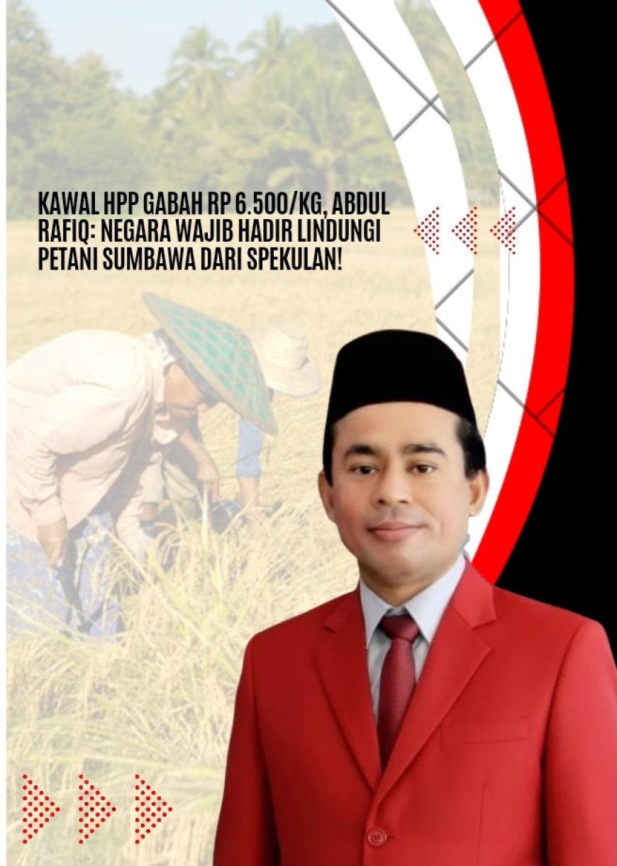 Kawal HPP Gabah Rp 6.500/Kg, Abdul Rafiq: Negara Wajib Hadir Lindungi Petani Sumbawa dari Spekulan!