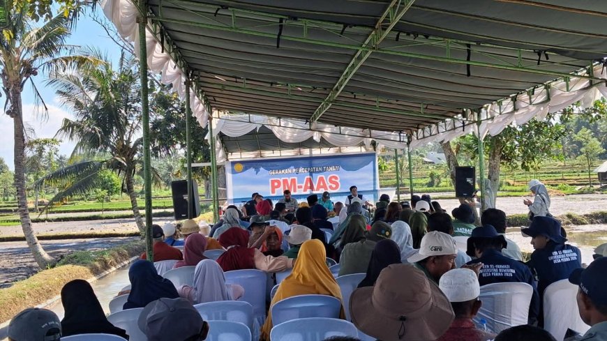 Akselerasi Modernisasi Pertanian, NTB Terapkan Sistem PM-AAS untuk Genjot Produktivitas Padi