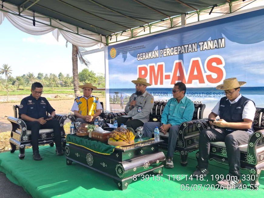 Akselerasi Modernisasi Pertanian, NTB Terapkan Sistem PM-AAS untuk Genjot Produktivitas Padi