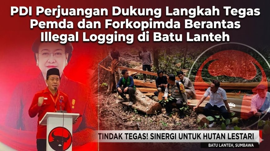 PDI Perjuangan Dukung Langkah Tegas Pemda dan Forkopimda Berantas Illegal Logging di Batu Lanteh