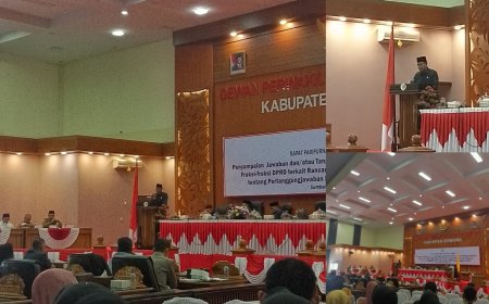 Respons Fraksi Gelora dan Demokrat-PPP Pembangunan, Bupati Sumbawa Bahas Strategi Fiskal hingga Solusi Legalitas PETI