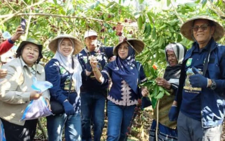 Festival Ngemar Kawa 2026: Strategi Jitu Pemkab Sumbawa Kenalkan Kopi Batulanteh ke Pentas Nasional