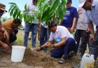Bupati Sumbawa Dorong Pemanfaatan Lahan Pesisir Jadi Kebun Kelapa Produktif