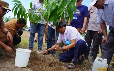 Bupati Sumbawa Dorong Pemanfaatan Lahan Pesisir Jadi Kebun Kelapa Produktif