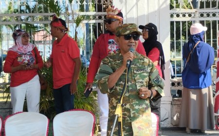 Tampil Gagah Berkostum Ala Tentara, Wabup Sumbawa Lepas Pawai Alegoris HUT RI: "Mari Bergerak dan Berdampak!"