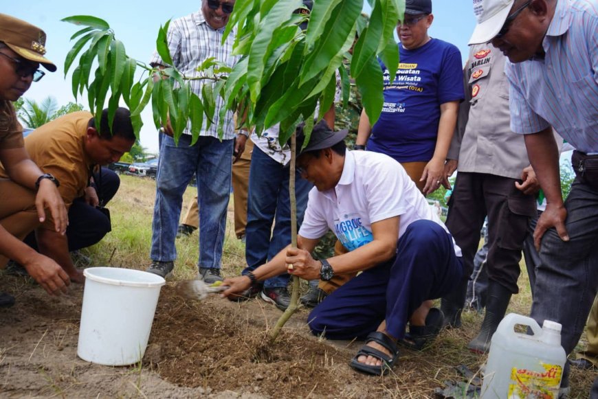 Bupati Sumbawa Dorong Pemanfaatan Lahan Pesisir Jadi Kebun Kelapa Produktif