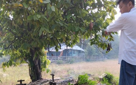 Antisipasi Musim Tanam 3, Komisi II DPRD Sumbawa Gelar Monev di Lape : Soroti Masalah Saluran Tersier