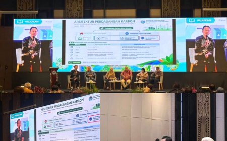 Bupati Sumbawa Kawal Agenda Ekonomi Karbon, Perkuat Komitmen Sumbawa Hijau dan Lestari